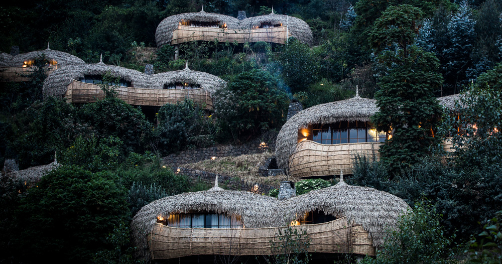 wilderness safaris bisate lodge