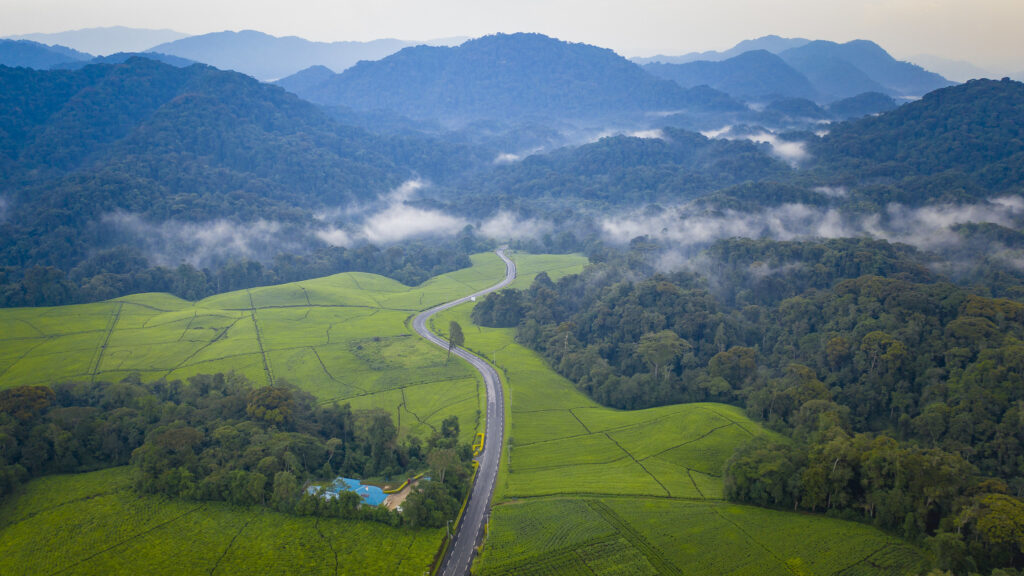 Nyungwe National Park
